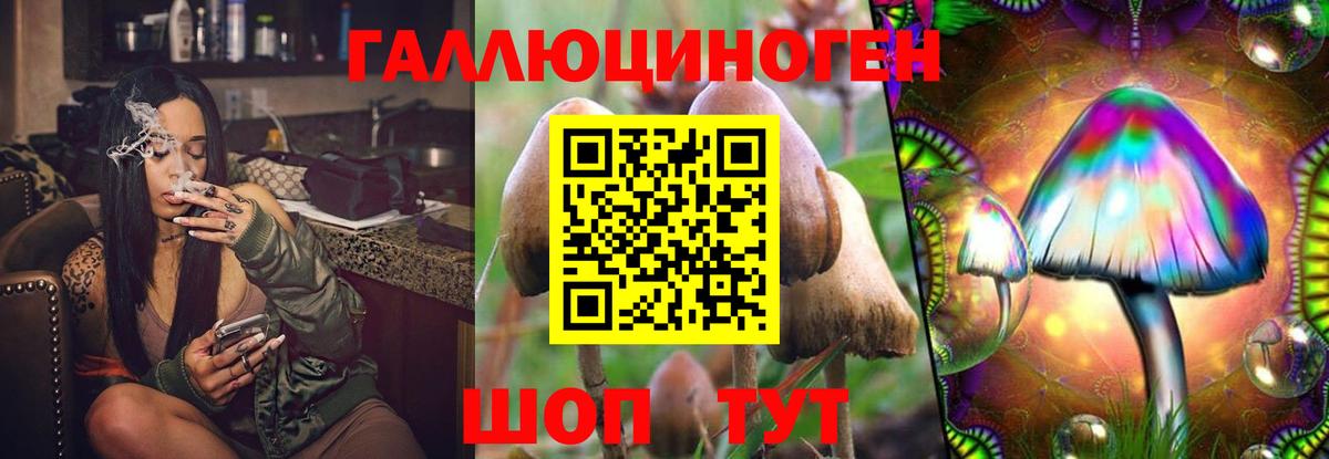 Псилоцибиновые грибы мицелий  Вход с VPN  Альметьевск 